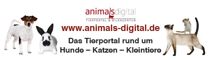 animals-digital-Banner1